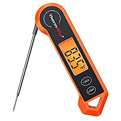 instant meat thermometer
